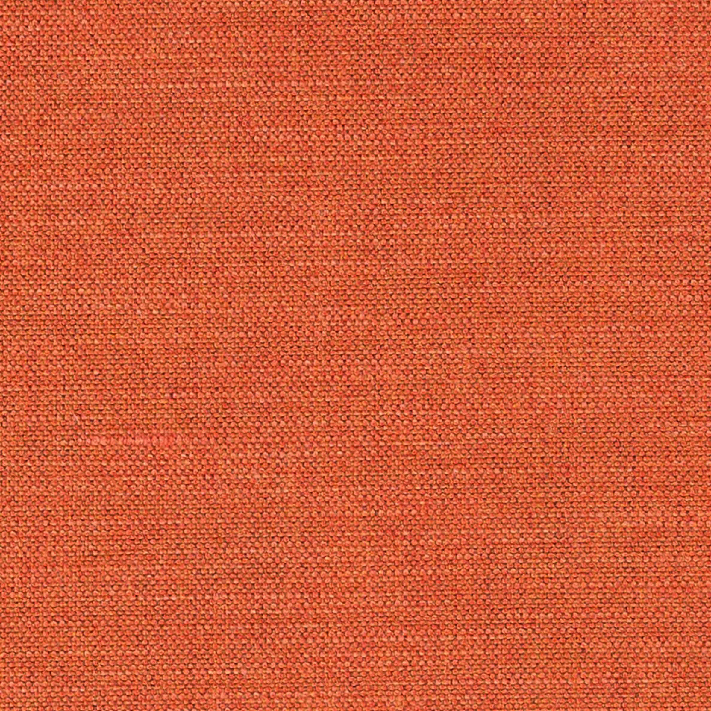 Bibliotheque Tidal Coral